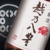 越乃八豊　本醸造