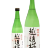 大吟醸　越後桜