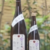 加茂錦 紅桔梗