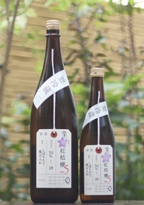 加茂錦 紅桔梗