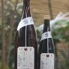 加茂錦 荷札酒 純米大吟醸 雄町