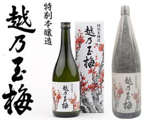 特別本醸造　越乃玉梅