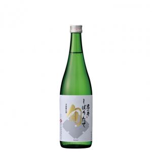 君の井　純米　しぼりたて旬