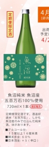 魚沼　純米　五百万石100％使用