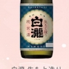 白瀧　生もと造り　純米酒
