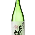 千代の光　ひやおろし
