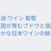 Thumbnail of related posts 024
