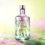 KUBOTA GIN よそふ春