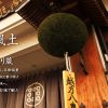 新潟の地酒を手造りでお届け | 株式会社越後酒造場 | 越後杜氏の手造り蔵